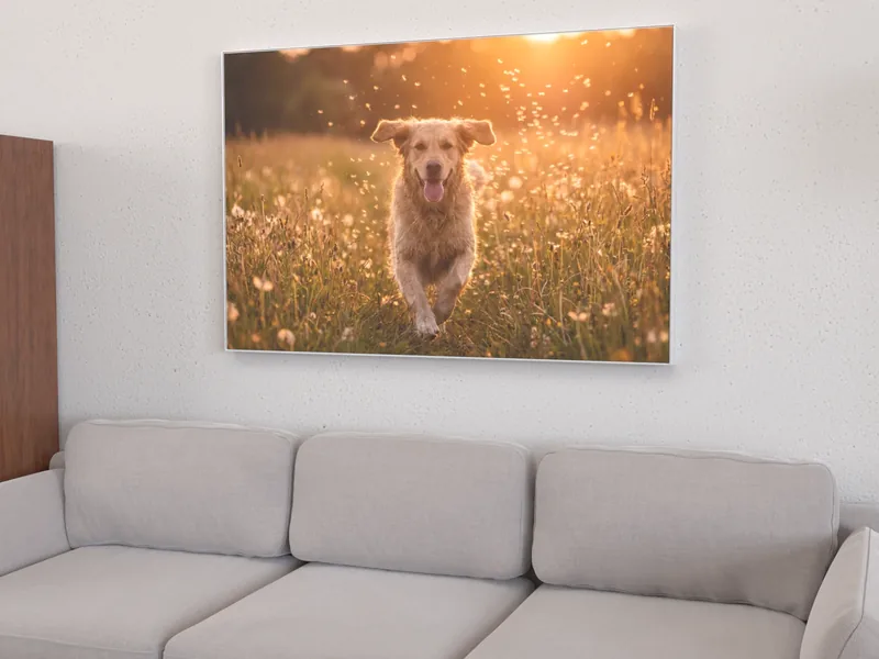 Visualisierung: Hundefoto im silbernen Alu-Wechselrahmen über einem Sofa, leicht von der Seite