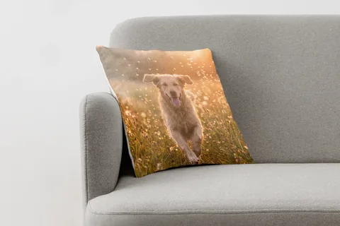 Produktansicht: Fotokissen mit einem Hundefoto auf einem Sessel