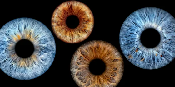 Vier Iriden als Wandbild – Klassisch – Irisfotografie von JALES – feine Motive in Münster