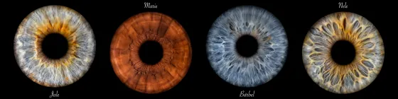 Vier Iriden als Wandbild – Klassisch – Irisfotografie von JALES – feine Motive in Münster