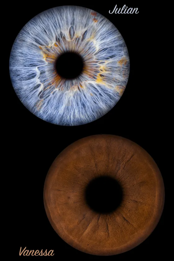 Zwei Iriden als Wandbild – Klassisch – Irisfotografie von JALES – feine Motive in Münster