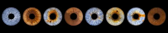 Acht Iriden als Wandbild – Klassisch – Irisfotografie von JALES – feine Motive in Münster