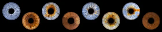 Acht Iriden als Wandbild – Klassisch – Irisfotografie von JALES – feine Motive in Münster