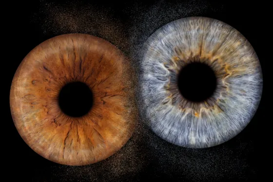Zwei Iriden als Wandbild – Explosion – Irisfotografie von JALES – feine Motive in Münster