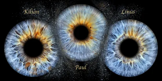Drei Iriden als Wandbild – Explosion – Irisfotografie von JALES – feine Motive in Münster