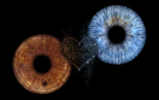 Zwei Iriden als Wandbild – Herz & Explosion – Irisfotografie von JALES – feine Motive in Münster