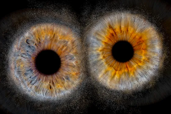 Zwei Iriden als Wandbild – Explosion – Irisfotografie von JALES – feine Motive in Münster