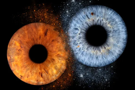 Zwei Iriden als Wandbild – Explosion – Irisfotografie von JALES – feine Motive in Münster