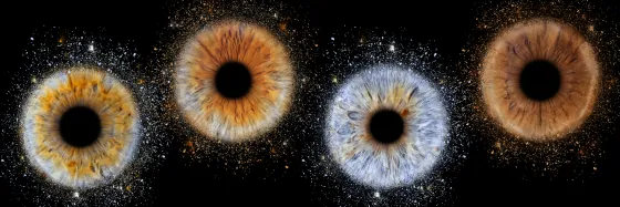 Vier Iriden als Wandbild – Explosion – Irisfotografie von JALES – feine Motive in Münster