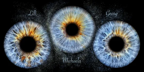 Drei Iriden als Wandbild – Explosion – Irisfotografie von JALES – feine Motive in Münster