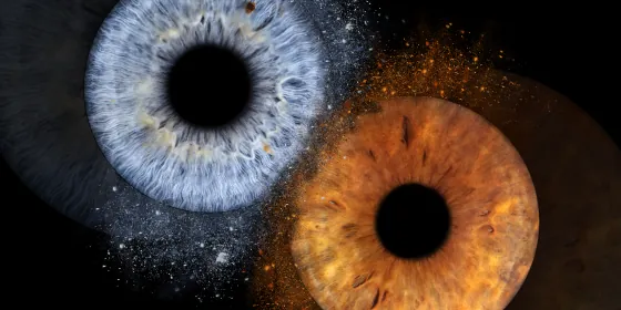 Zwei Iriden als Wandbild – Explosion – Irisfotografie von JALES – feine Motive in Münster