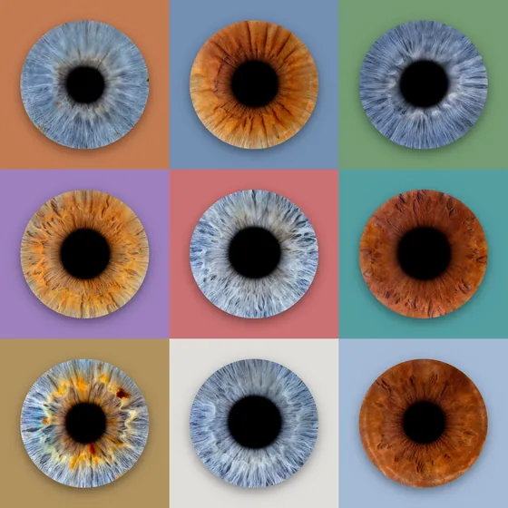 Neun Iriden in einem Quadrat aus drei mal drei Feldern, auf Terrakotta, Taubenblau, Salbei, Flieder, Altrosa, Petrol, Ocker, Hellgrau und Hellblau – Iris-Wandbild Artikel 0160, Farbraster