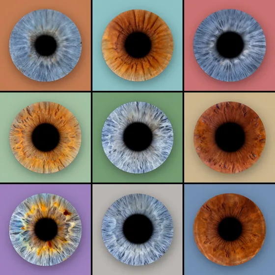 Neun Iriden in einem Quadrat aus drei mal drei Feldern mit schwarzen Fugen, auf Terrakotta, Mint, Altrosa, Salbei, Grün, Sand, Flieder, Hellgrau und Taubenblau – Iris-Wandbild Artikel 0180, Farbraster