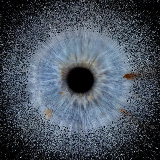 Eine blaugraue Iris, deren Rand in feines Pulver zerfällt, das nach allen Seiten fliegt, auf Schwarz – Iris-Wandbild Artikel 0188, Explosion, feines Pulver