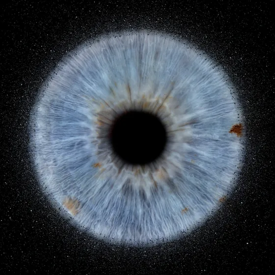Eine große blaugraue Iris mit einem dichten Staubkranz am Rand, auf Schwarz – Iris-Wandbild Artikel 0189, Explosion, Staub