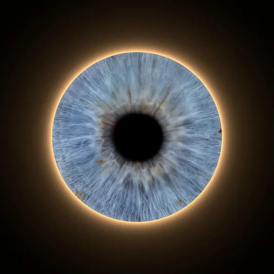 Eine blaugraue Iris auf dunklem Grund, umgeben von einem warm leuchtenden Ring – Iris-Wandbild Artikel 0192, Leuchtring