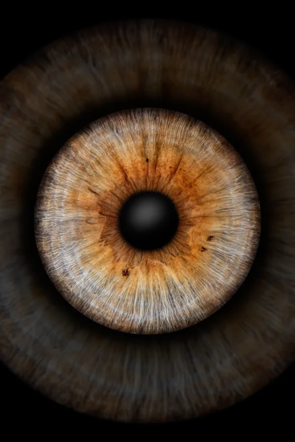 Klassisch · Hochformat – Irisfotografie als Wandbild von JALES – feine Motive