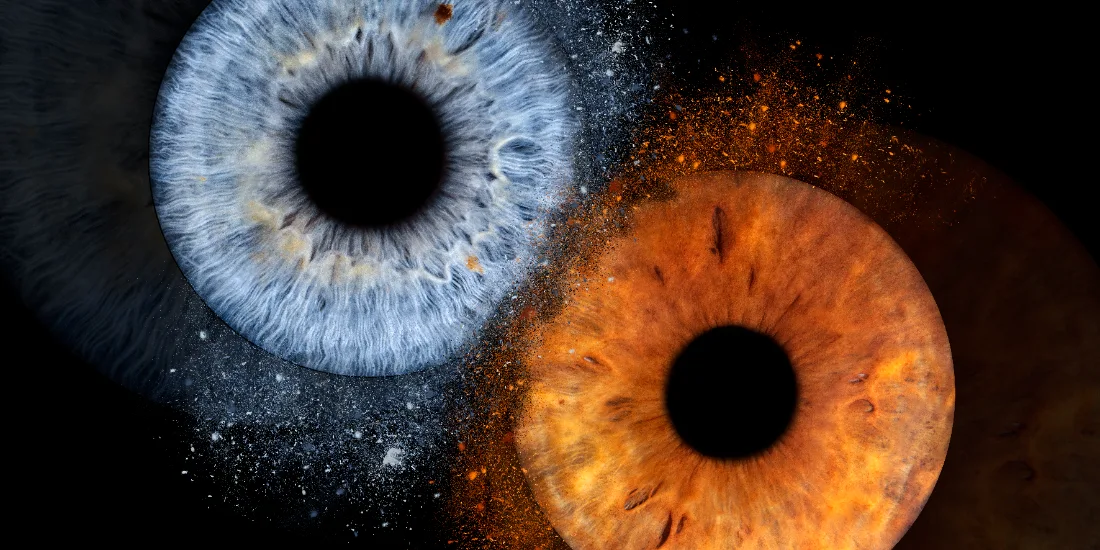 Zwei Iriden · Feuer & Eis – Irisfotografie als Wandbild von JALES – feine Motive