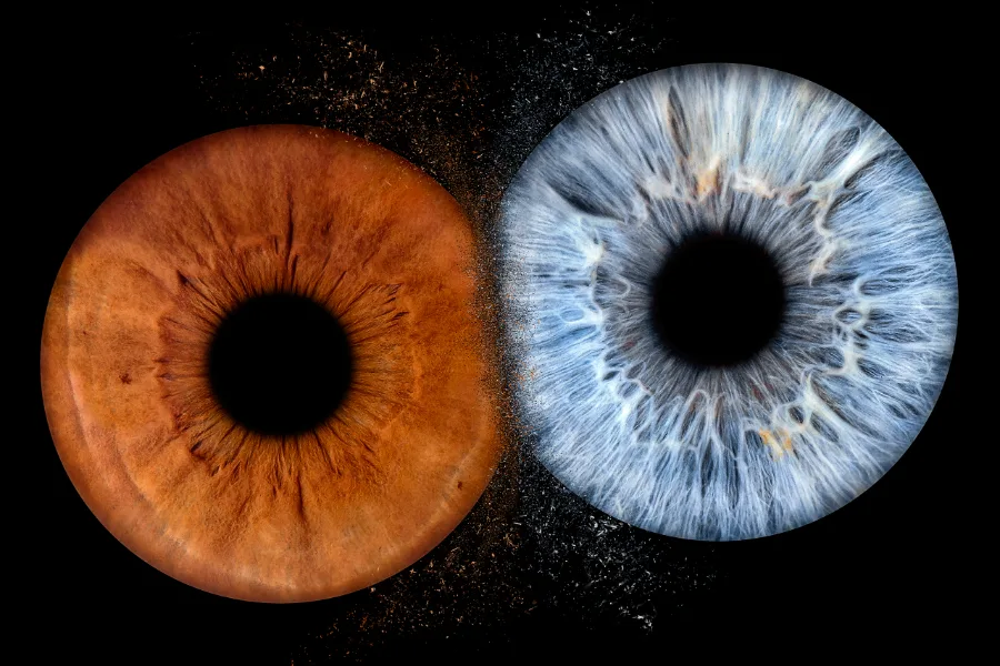 Zwei Iriden · Explosion – Irisfotografie als Wandbild von JALES – feine Motive