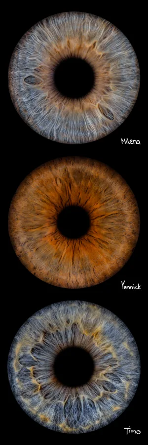 Drei Iriden · mit Namen – Irisfotografie als Wandbild von JALES – feine Motive