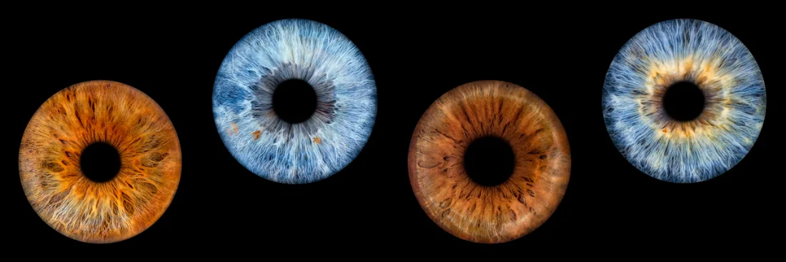 Vier Iriden · mit Namen – Irisfotografie als Wandbild von JALES – feine Motive