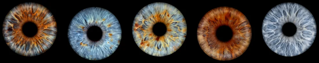 Fünf Iriden · Reihe – Irisfotografie als Wandbild von JALES – feine Motive