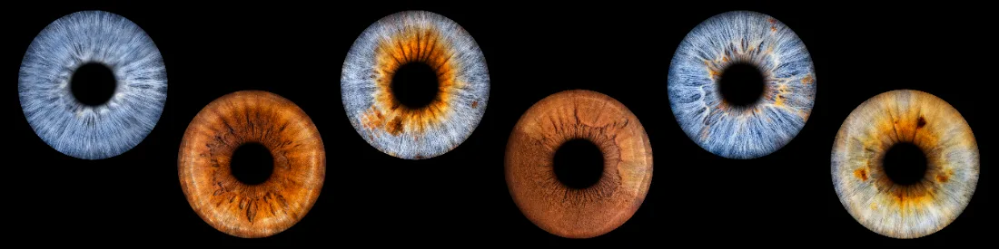 Sechs Iriden · Reihe – Irisfotografie als Wandbild von JALES – feine Motive