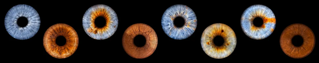 Acht Iriden · Reihe – Irisfotografie als Wandbild von JALES – feine Motive