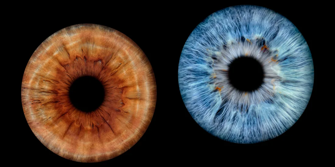 Zwei Iriden · Hochformat – Irisfotografie als Wandbild von JALES – feine Motive