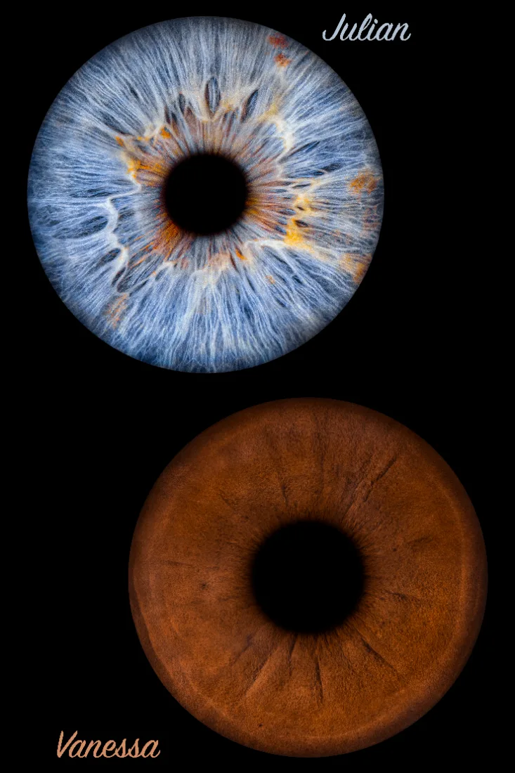 Zwei Iriden · Klassisch – Irisfotografie als Wandbild von JALES – feine Motive