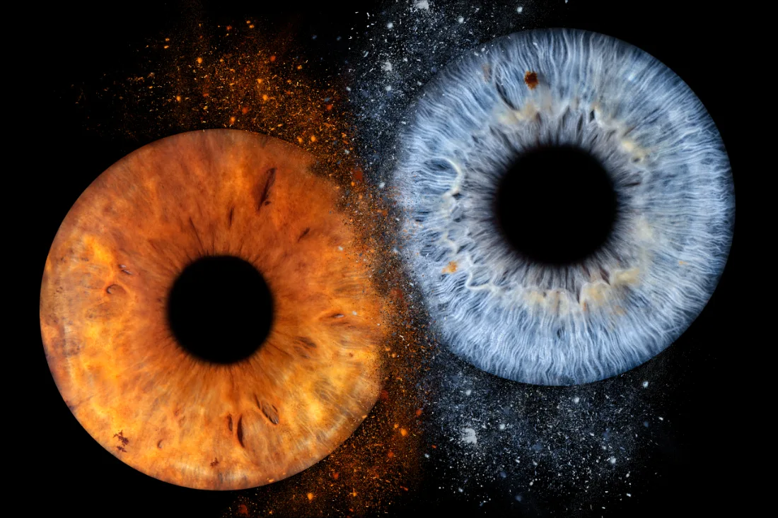 Zwei Iriden · Klassisch – Irisfotografie als Wandbild von JALES – feine Motive