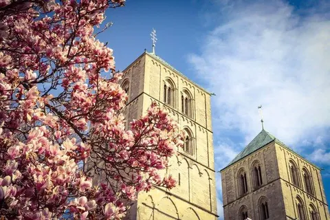 Dom mit Magnolienzweigen – Münster-Motiv von Anna Hünker