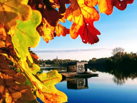 Herbstlaub am Jorge-Pardo-Pier – Münster-Motiv von Anna Hünker