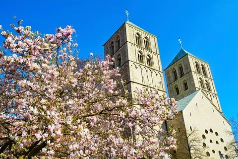 Dom mit weißer Magnolie – Münster-Motiv von Birgit Leimann