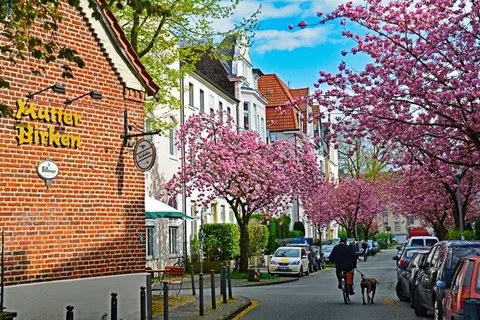Kirschblüte im Kreuzviertel – Münster-Motiv von Birgit Leimann