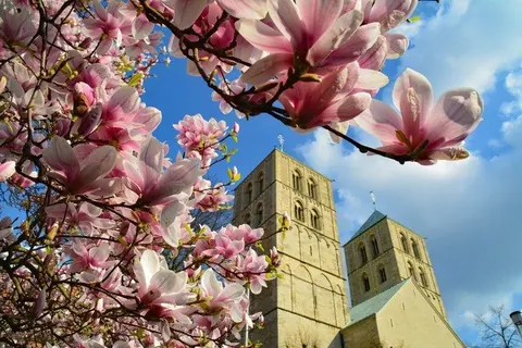 Magnolie und Domtürme – Münster-Motiv von Birgit Leimann