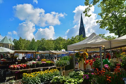 Blumen auf dem Wochenmarkt – Münster-Motiv von Birgit Leimann