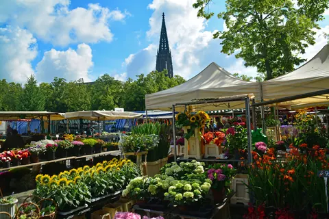 Wochenmarkt mit Blick zur Lamberti – Münster-Motiv von Birgit Leimann