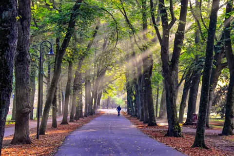 Sonnenstrahlen auf der Promenade – Münster-Motiv von Birgit Leimann