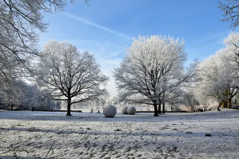 Aaseekugeln im Raureif – Münster-Motiv von Birgit Leimann