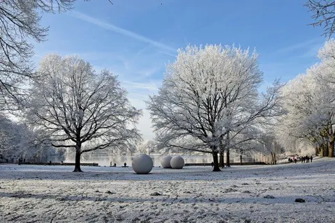 Aaseewiese im Schnee – Münster-Motiv von Birgit Leimann