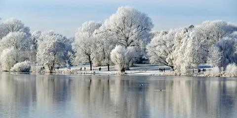Raureif am Aasee – Münster-Motiv von Birgit Leimann