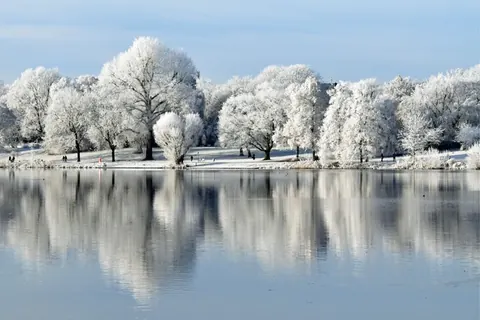 Winterspiegelung am Aasee – Münster-Motiv von Birgit Leimann