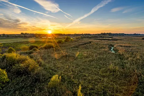 Sonnenuntergang in den Rieselfeldern – Münster-Motiv von Oliver Hugo