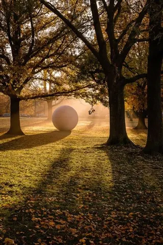 Aaseekugel im Herbstlicht – Münster-Motiv von Sascha Talke
