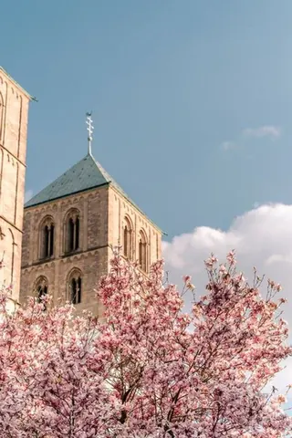 Domturm mit Magnolie – Münster-Motiv von Sascha Talke