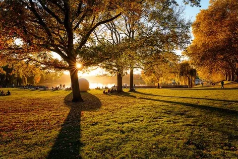 Abendlicht auf der Aaseewiese – Münster-Motiv von Sascha Talke