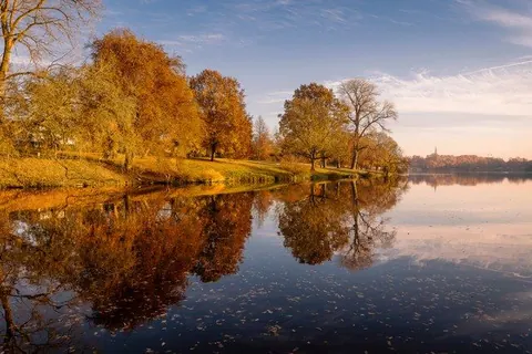 Herbstbäume im Aaseespiegel – Münster-Motiv von Sascha Talke