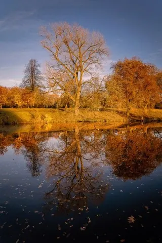 Herbstspiegelung am Aasee – Münster-Motiv von Sascha Talke