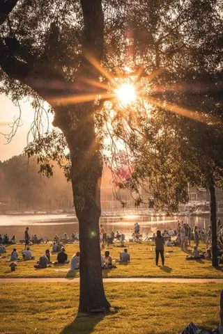 Sommerabend auf der Aaseewiese – Münster-Motiv von Sascha Talke